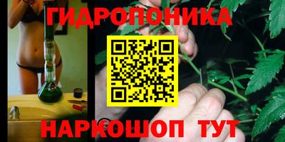 СК Будённовск