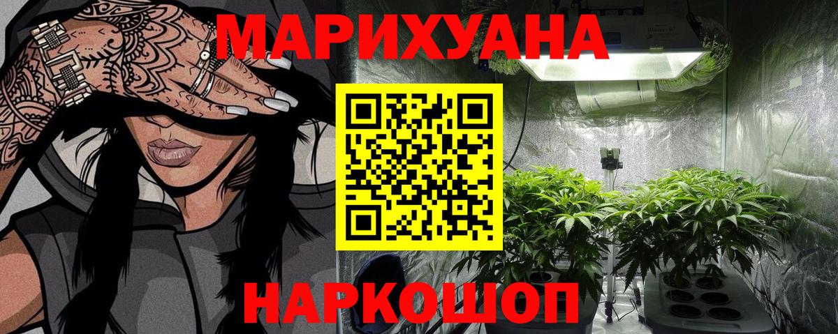 Бошки марихуана гибрид  Вход с VPN  Каннабис Bruce Banner  Мурино 